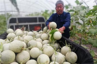 鄉村旅游開發 農民致富新路徑